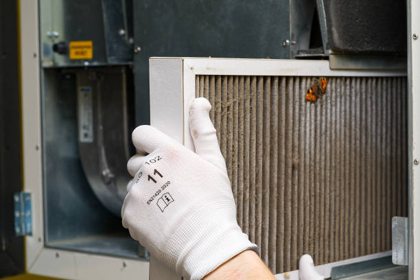 Best Affordable Air Duct Cleaning  in Nappanee, IN