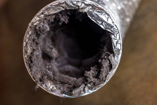 Best Air Duct Sanitizing Services  in Nappanee, IN